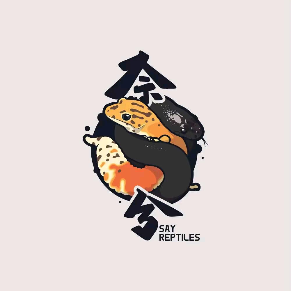 奈兮言爬异宠