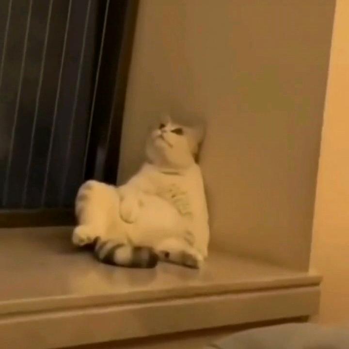 💥爆炒爆爆龙💥