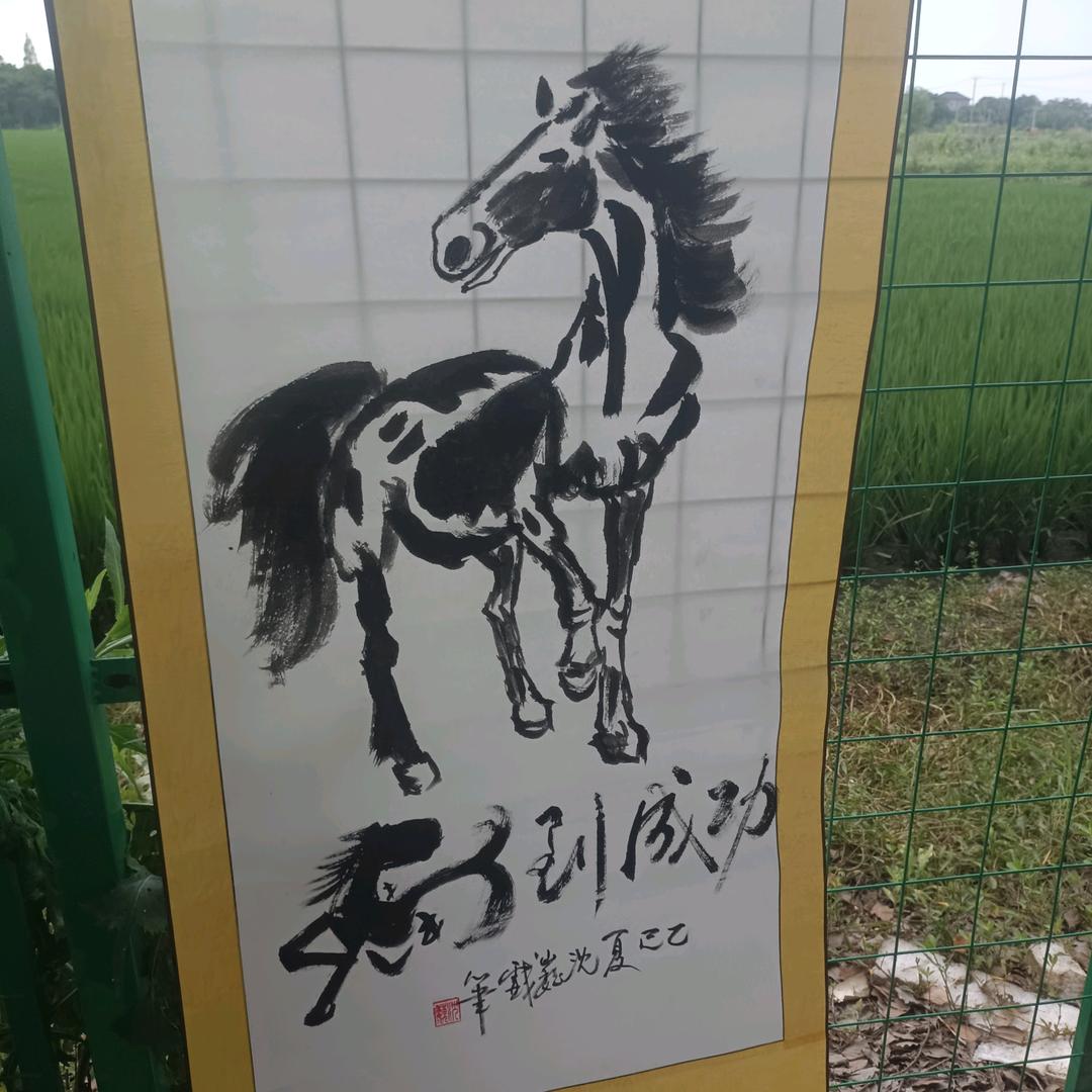 骑行记