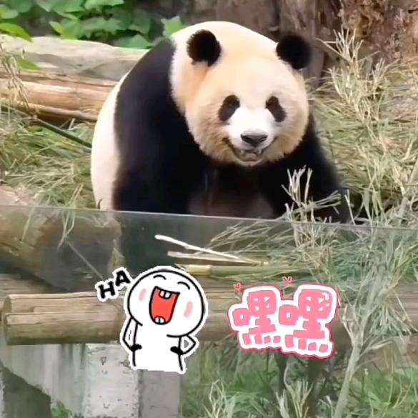 灯火阑珊