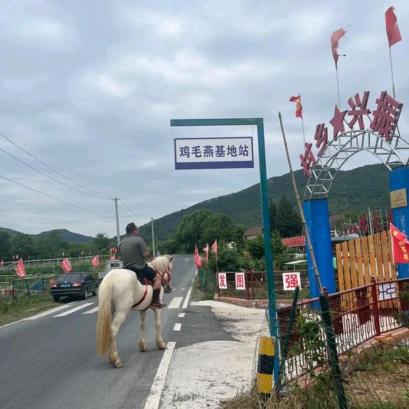 安徽青少年拓展基地