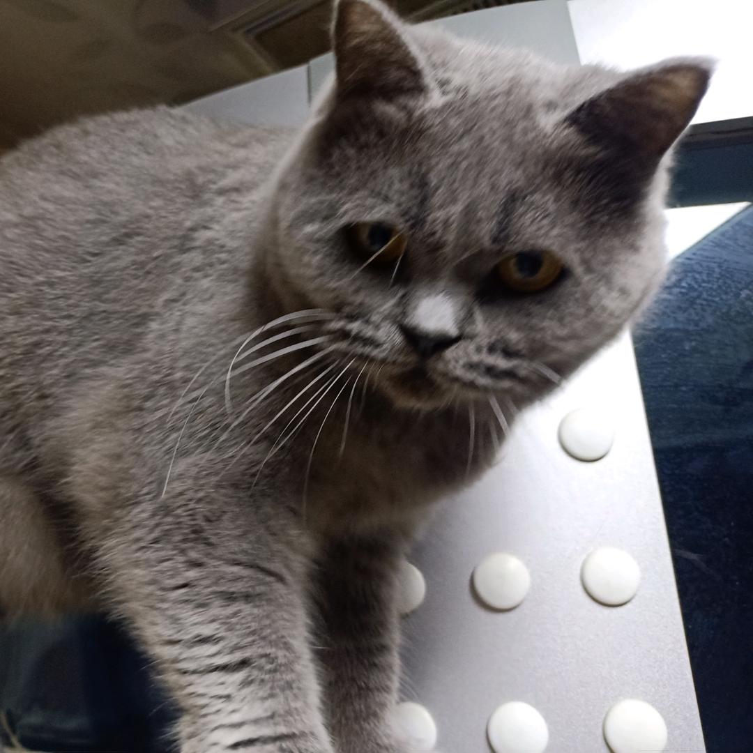 圈套