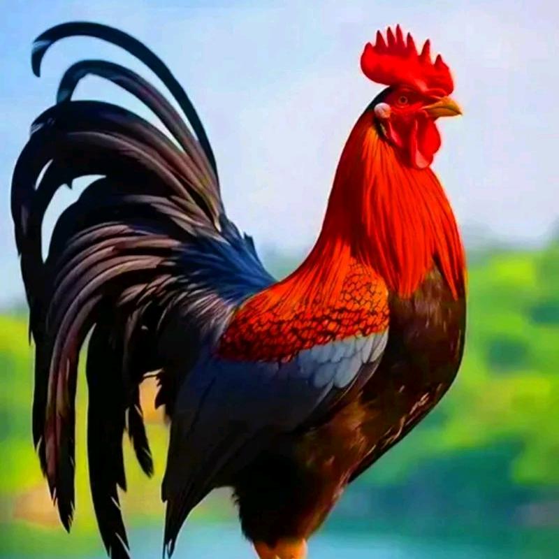 昌益民