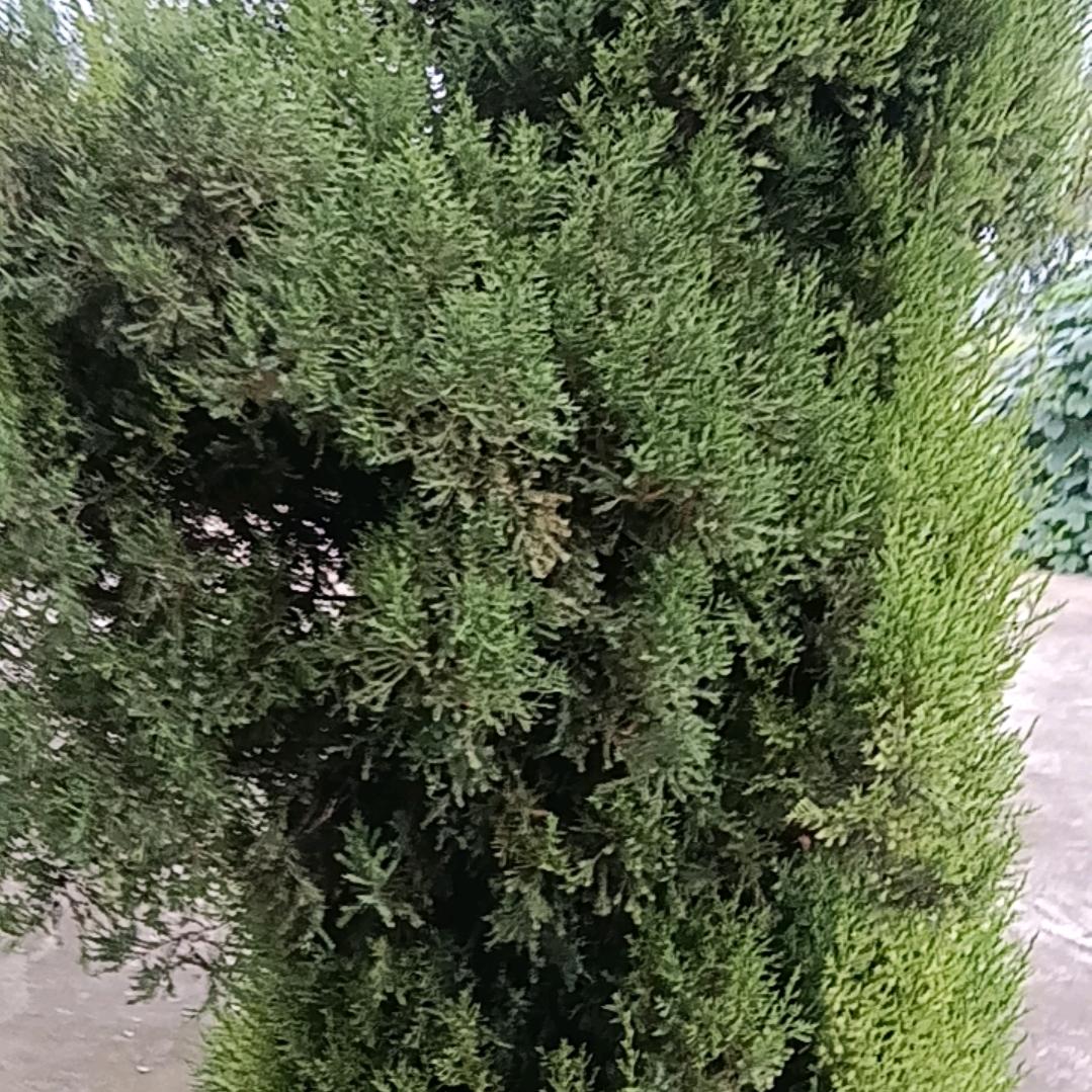 花鼓戏剧团人