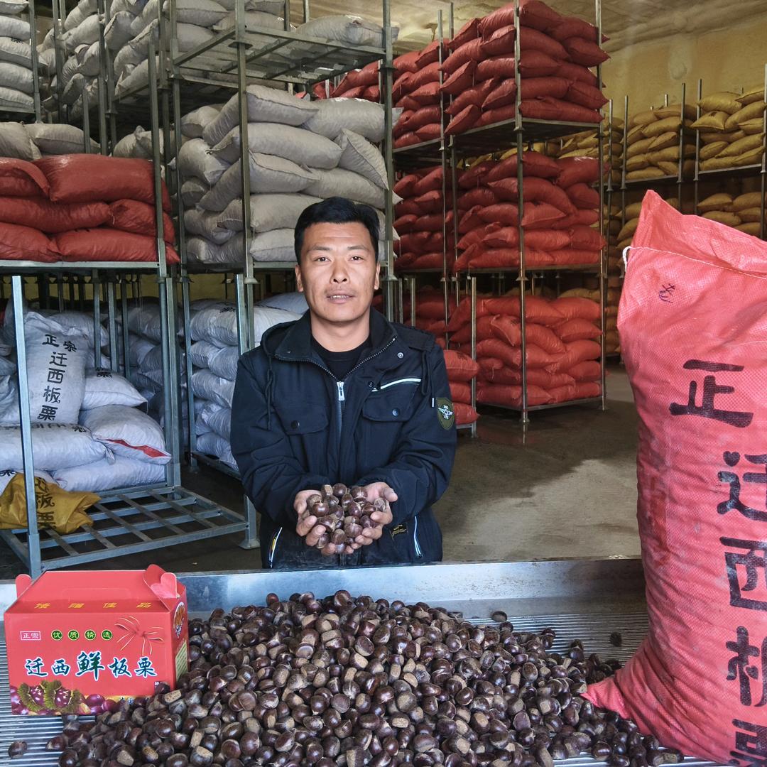 迁西板栗王红健