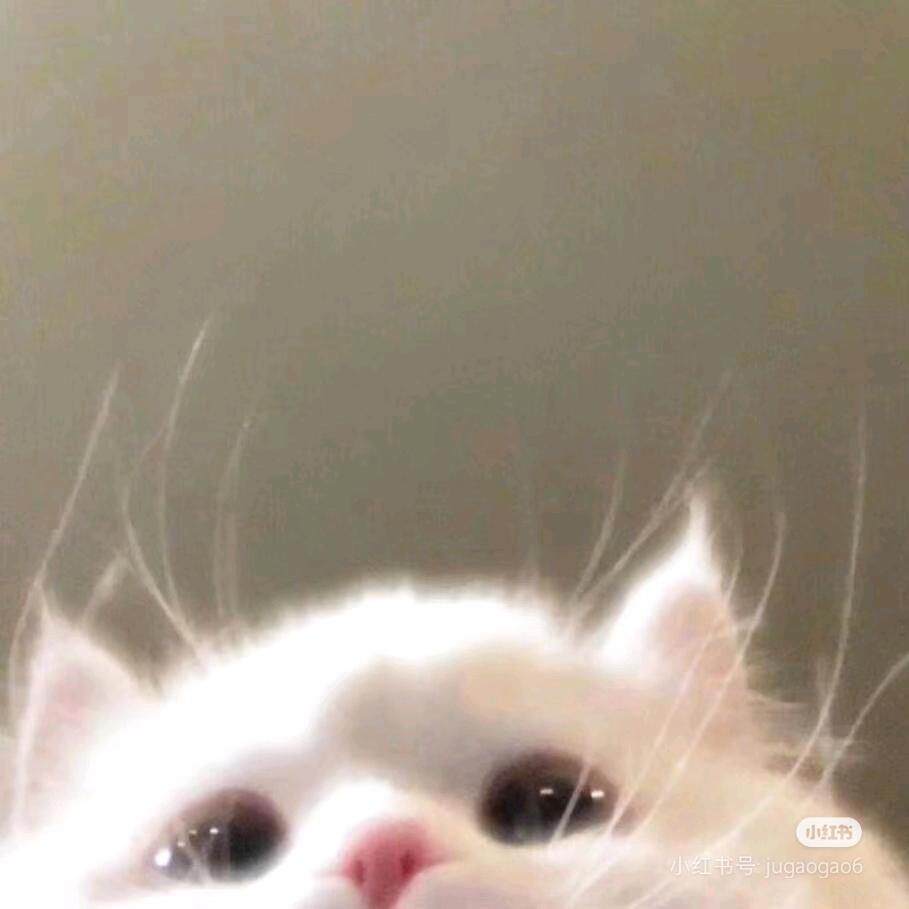 小弥（贫穷版）