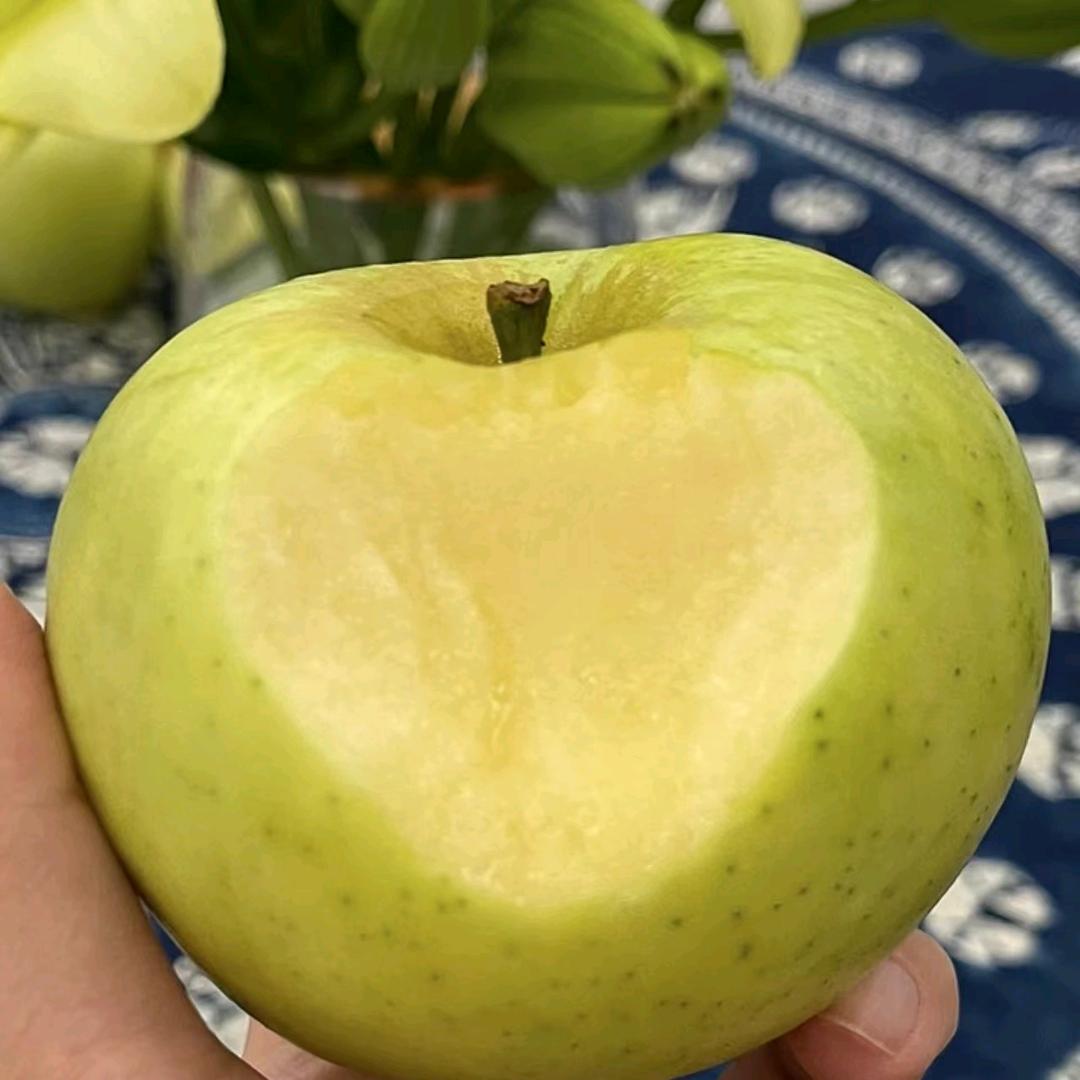 小果树