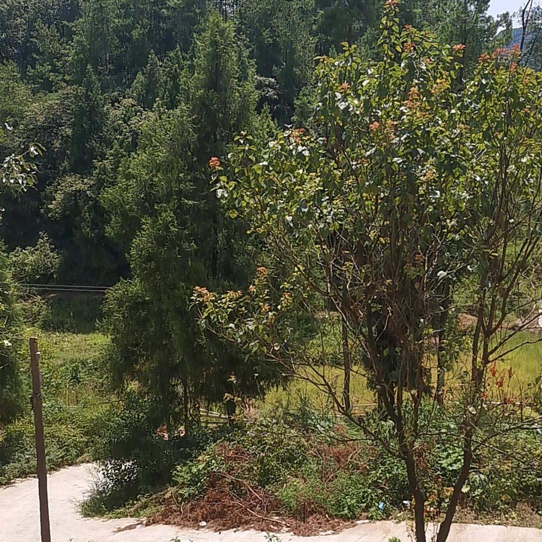 有缘才相遇