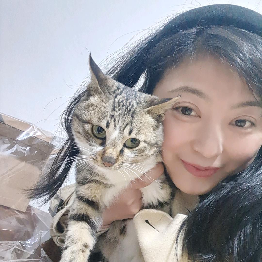 农村的人