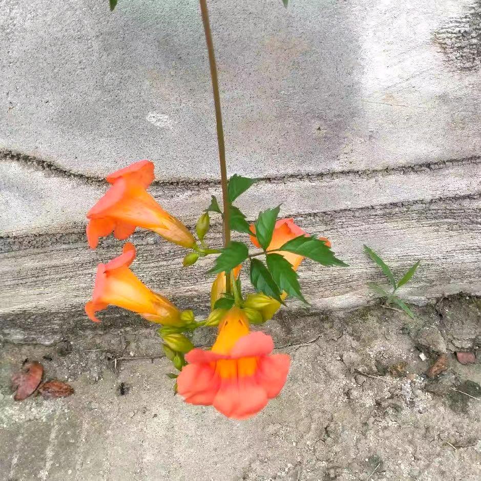 人的一生很短暂
