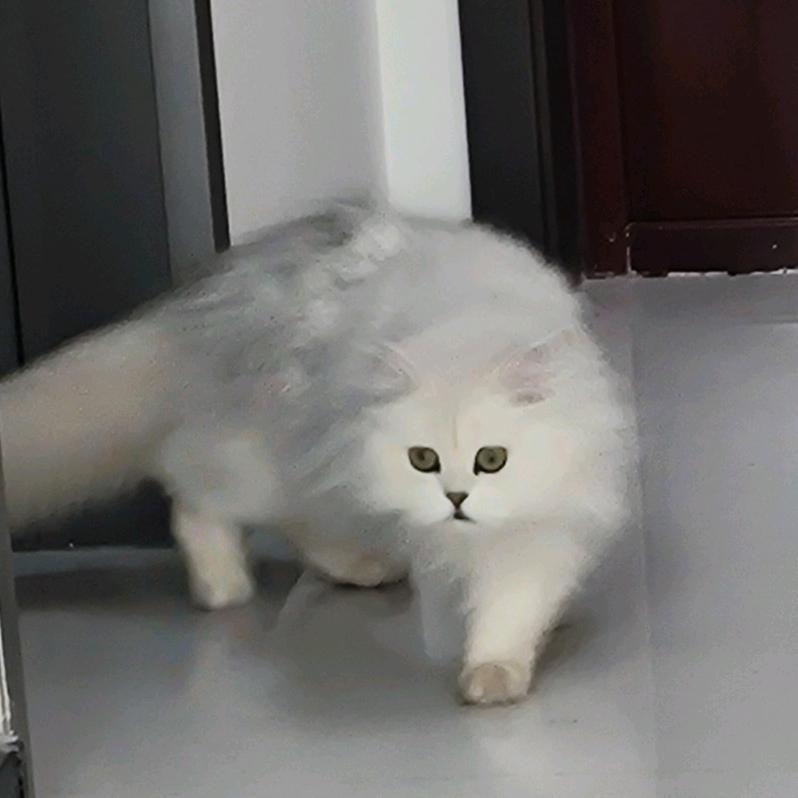 小天