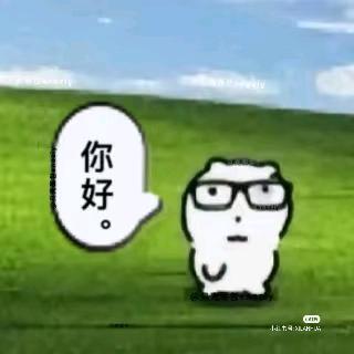 柚子猫