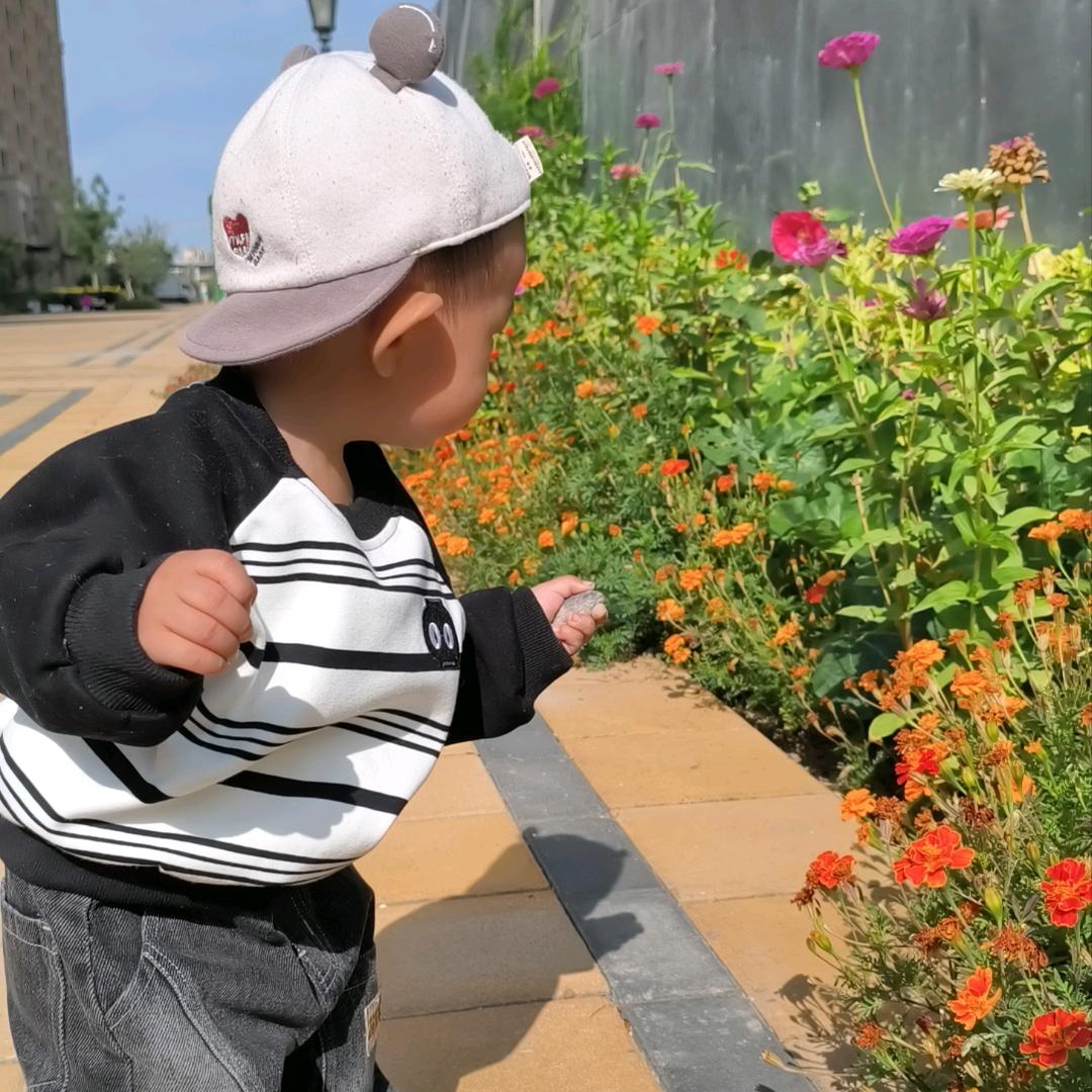 青青竹🎋