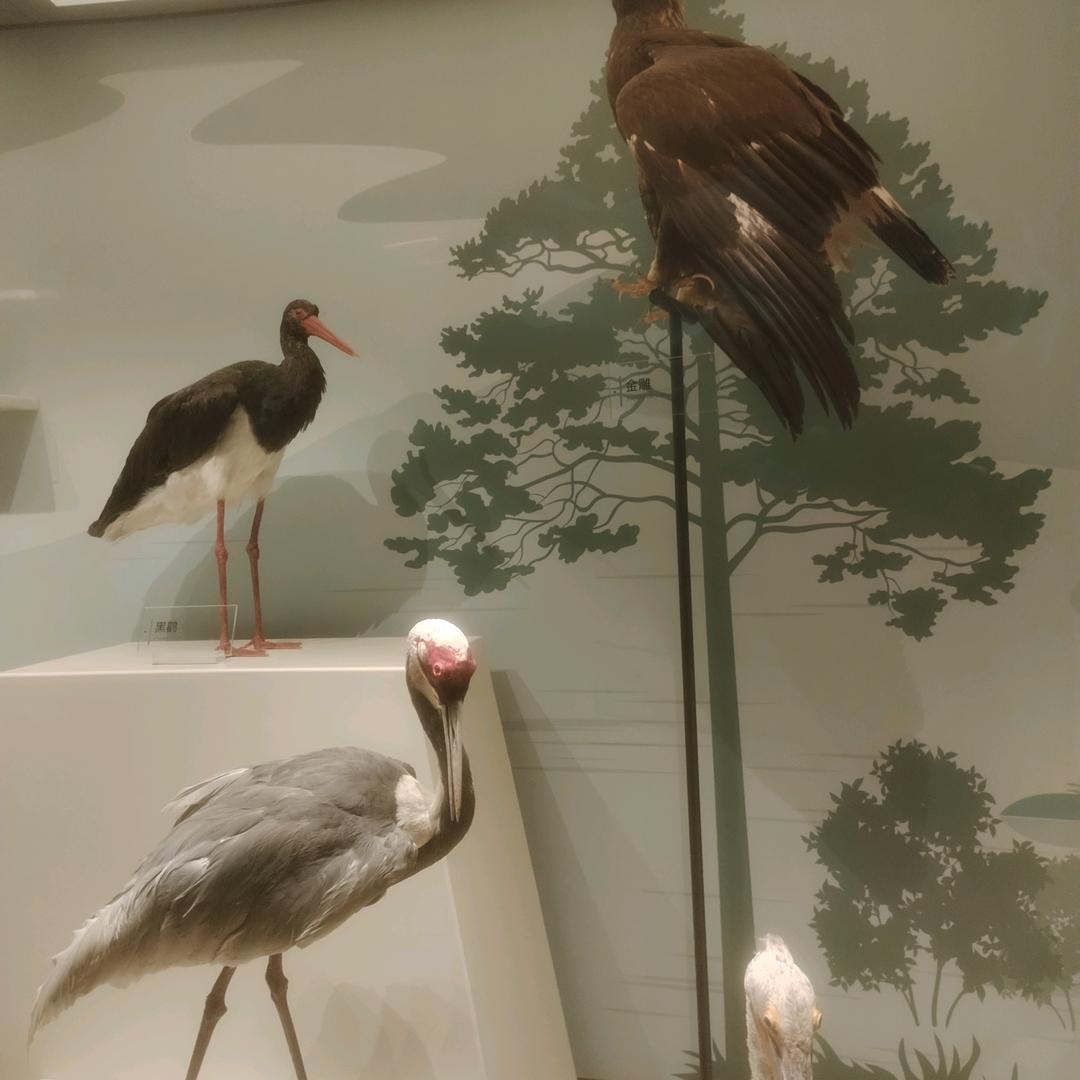 情出自愿，事过无悔，不谈亏欠，不负遇见