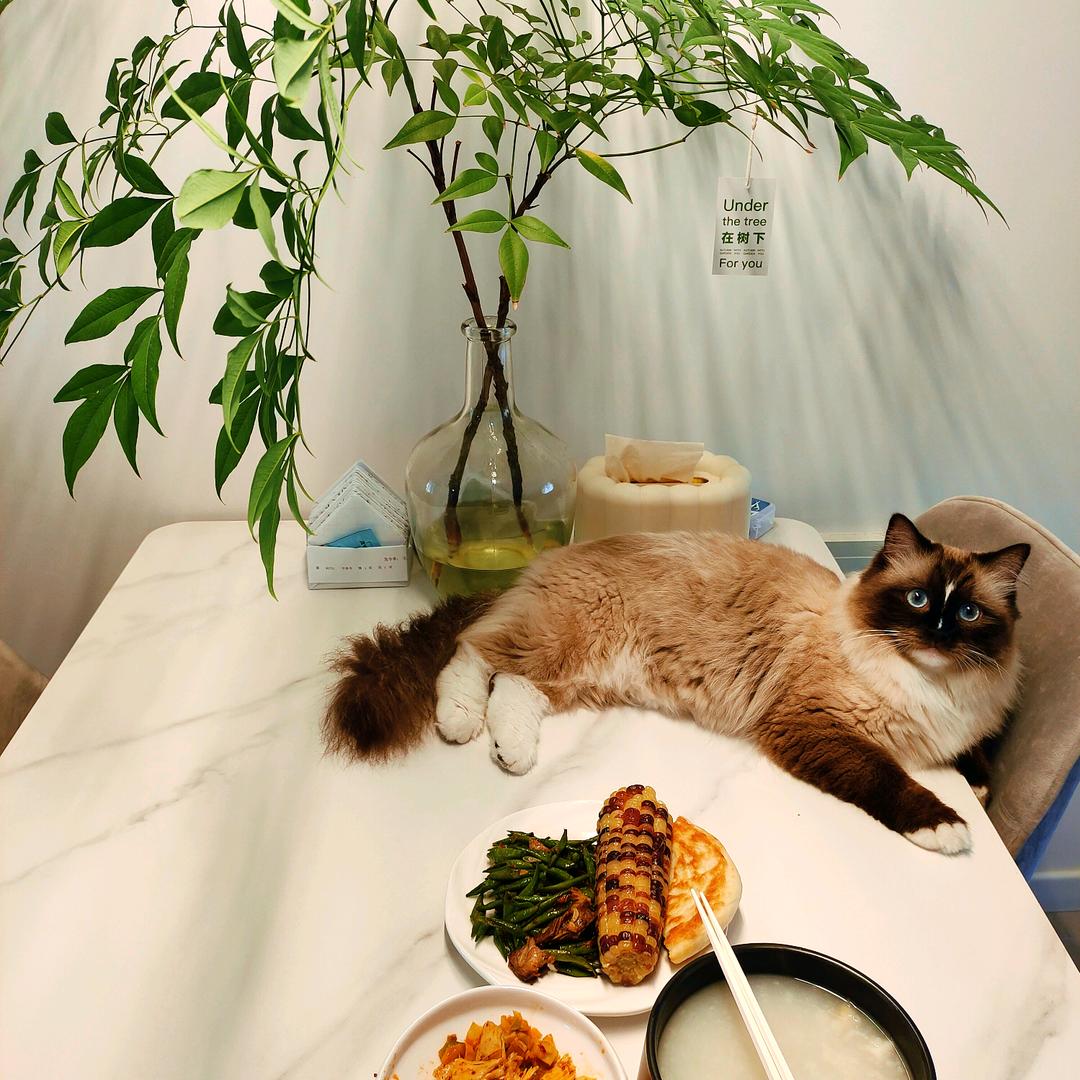 十一