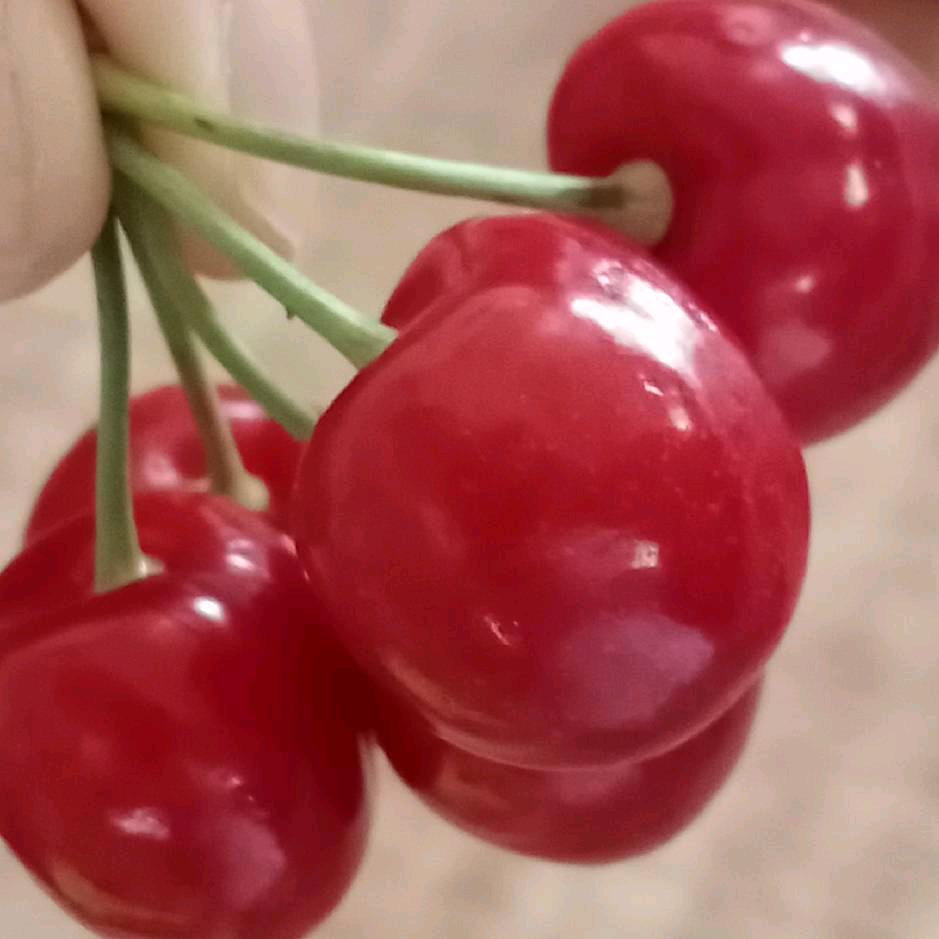 春暖花开