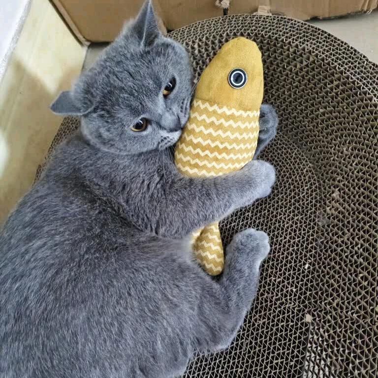 叮当