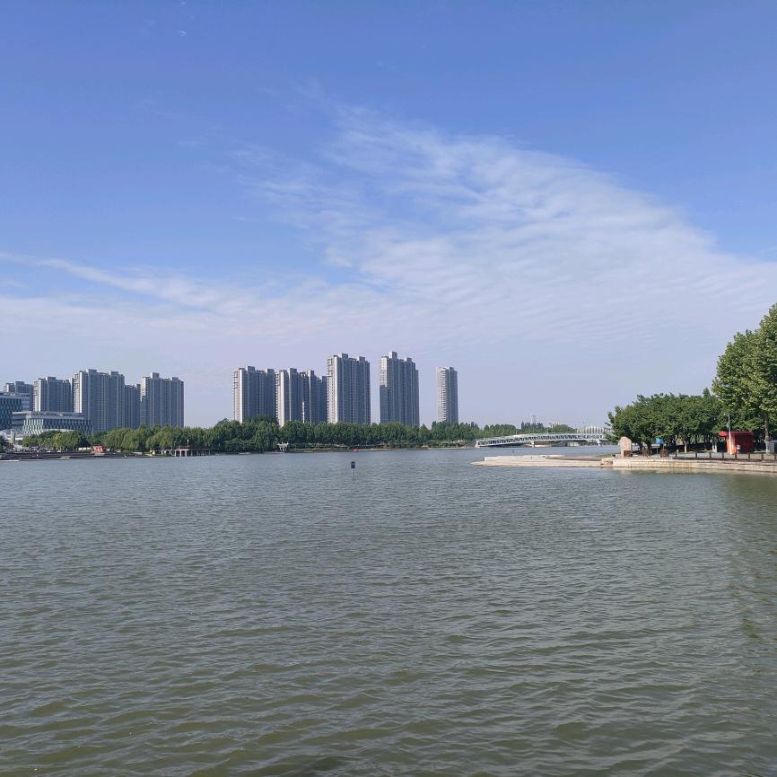 小辛睡不醒