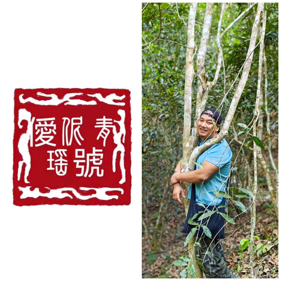 爬先生的茶～僾伲青瑶號