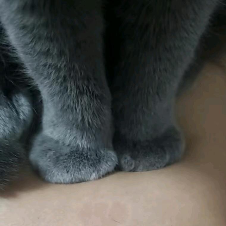 钞票铺满床 睡到自然醒