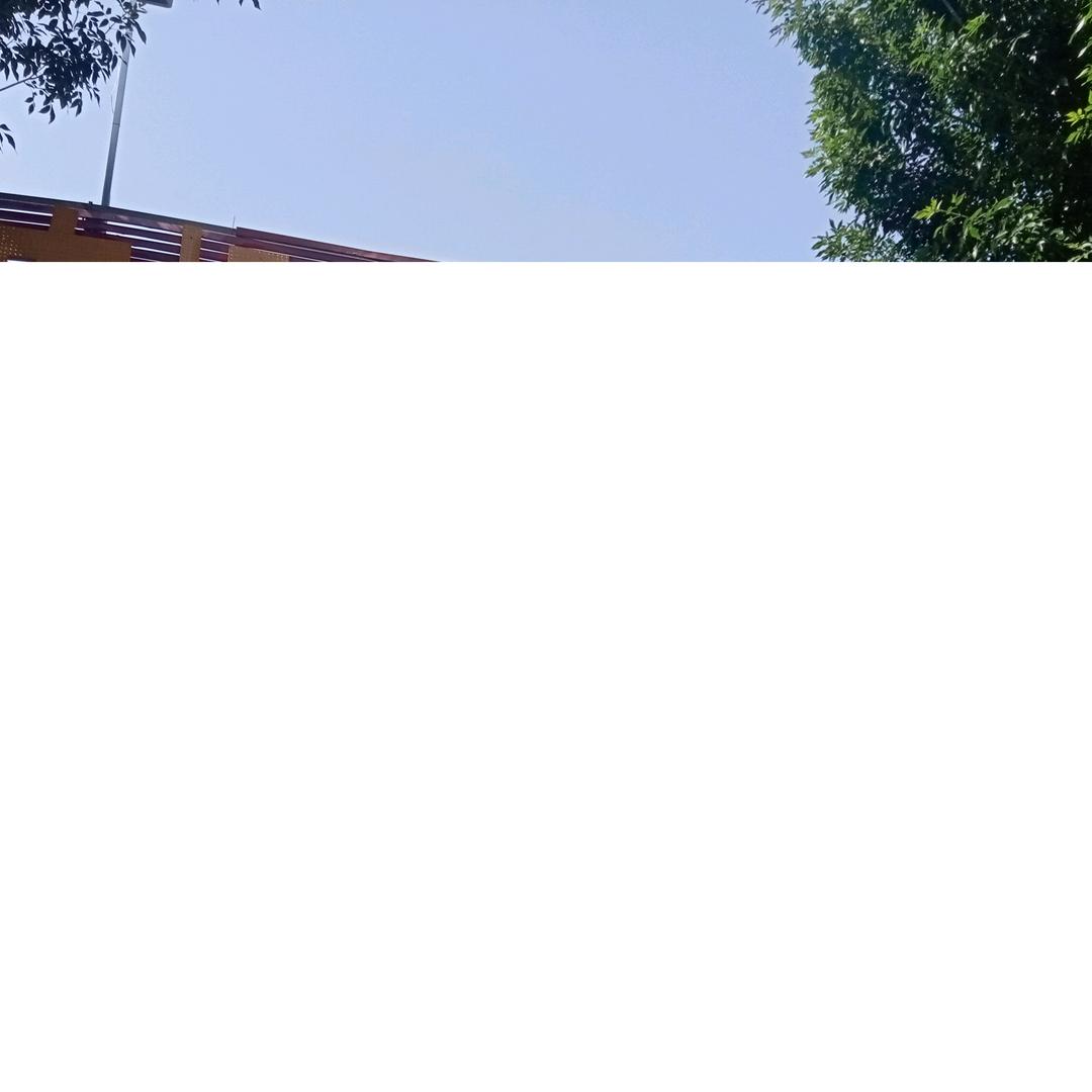 亮剑