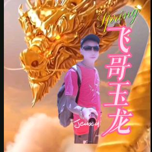 飞龙