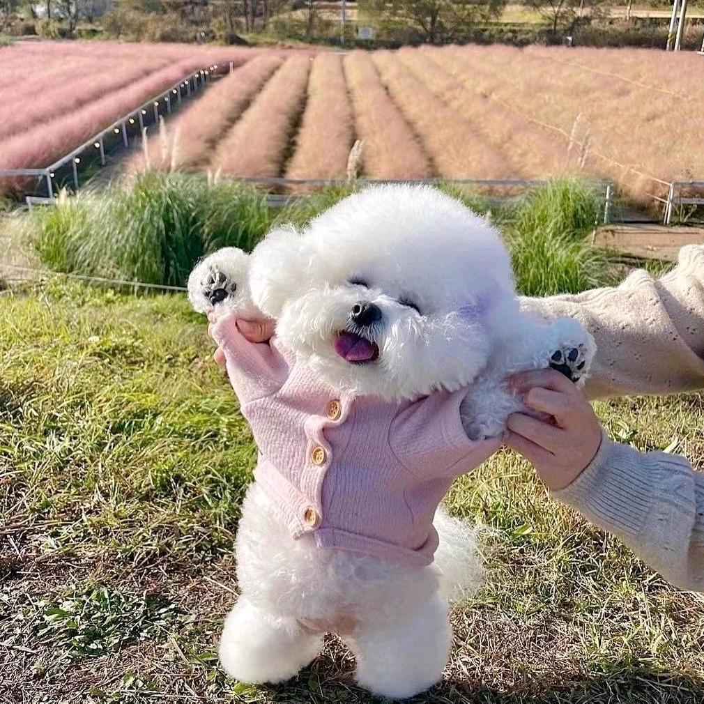 柒柒剧场