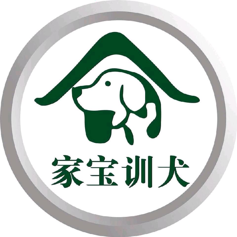 家宝训犬官方号