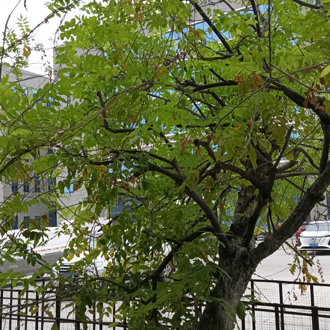 我是谁