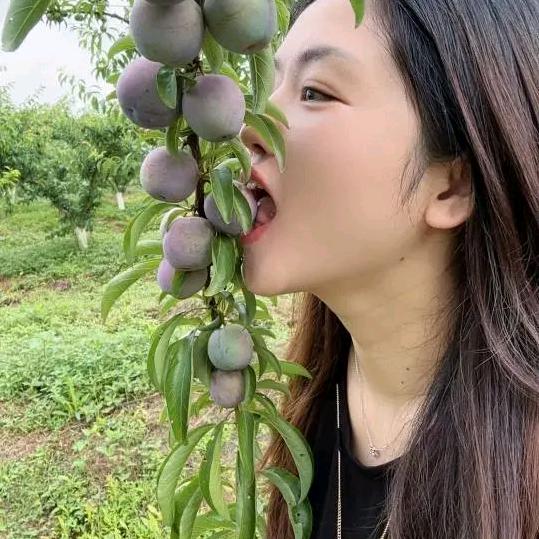 有缘千里来相会，叙永人寻缘