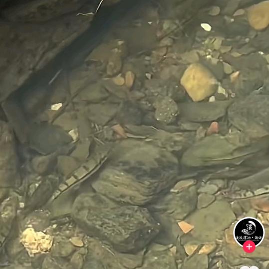 溪钓🎣小覃