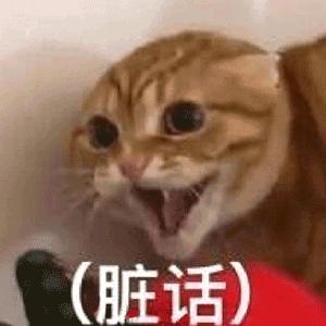 荒泷天下第一斗