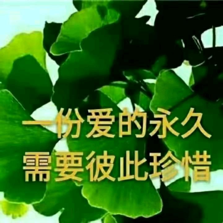 🌹紫气东来☔️🌹