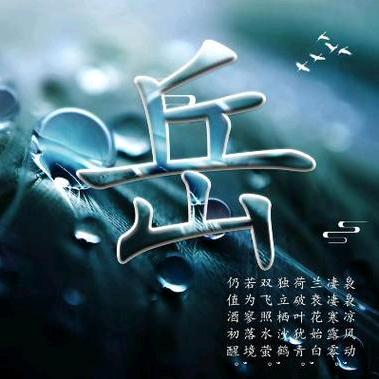 大胖胖