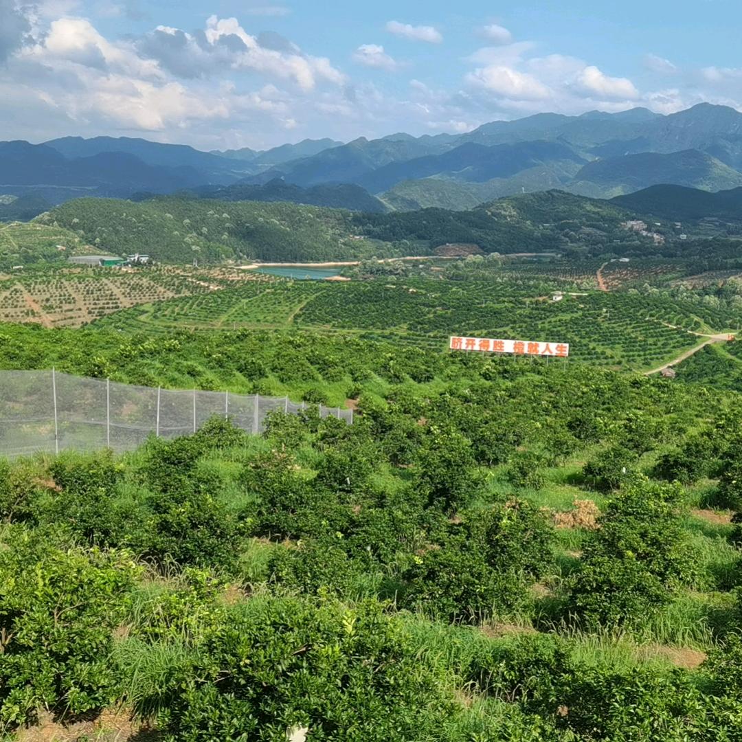 吉星南路湘02387牡丹园美宜佳