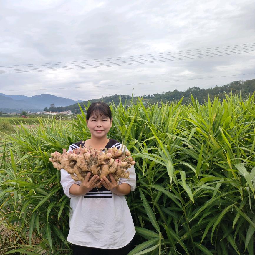 太溪邦娜娜