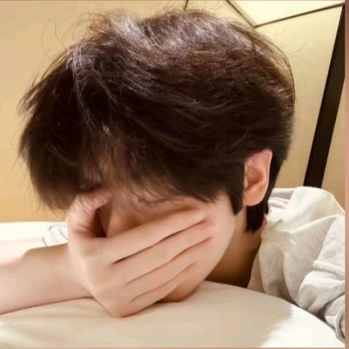 那晚猪猪侠没来