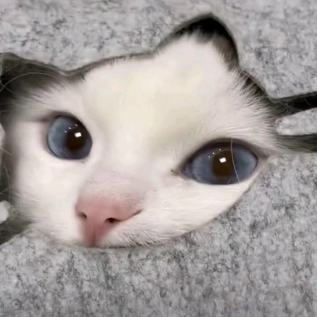 justhis4me