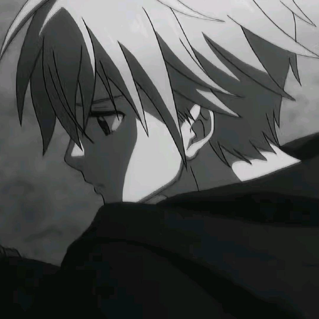 熊小猫R
