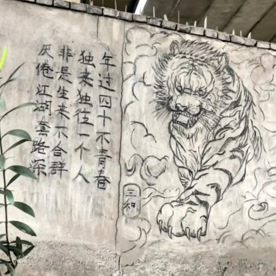 专业内外墙装修