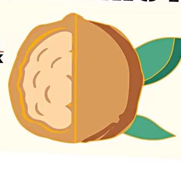 核桃核桃