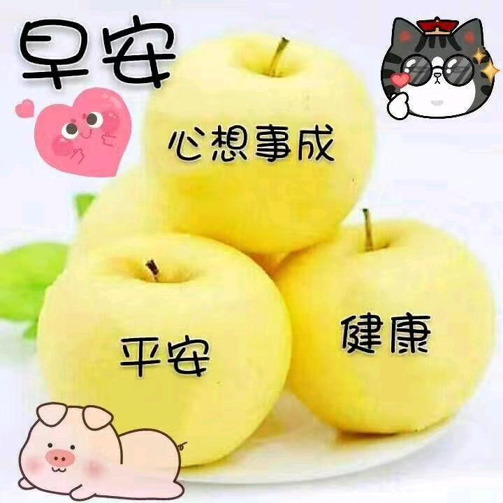用户6076578688324
