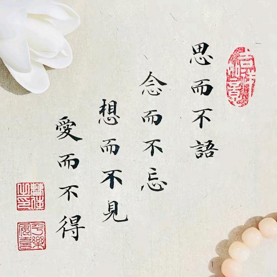 ₍˄·͈༝·͈˄*₎◞ ̑̑吥唸