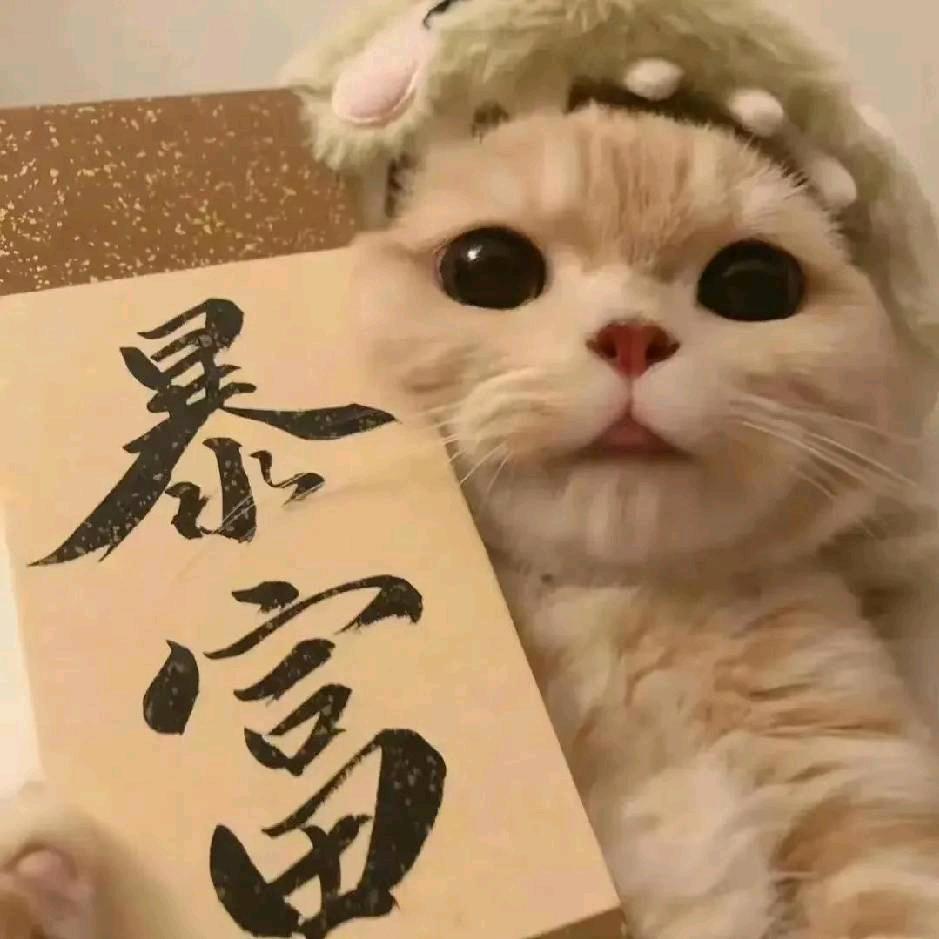 風止意难平