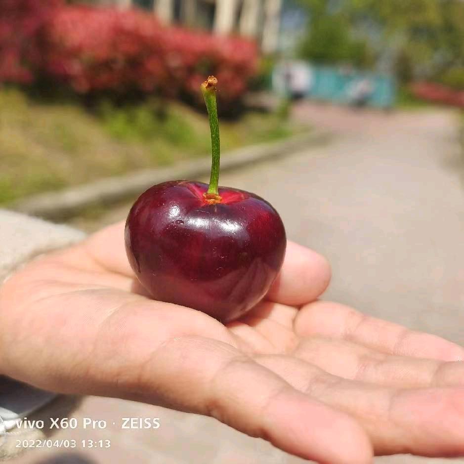 💔ꦿ໊余生᭄🕊一起走᭄ꦿᩚ٭