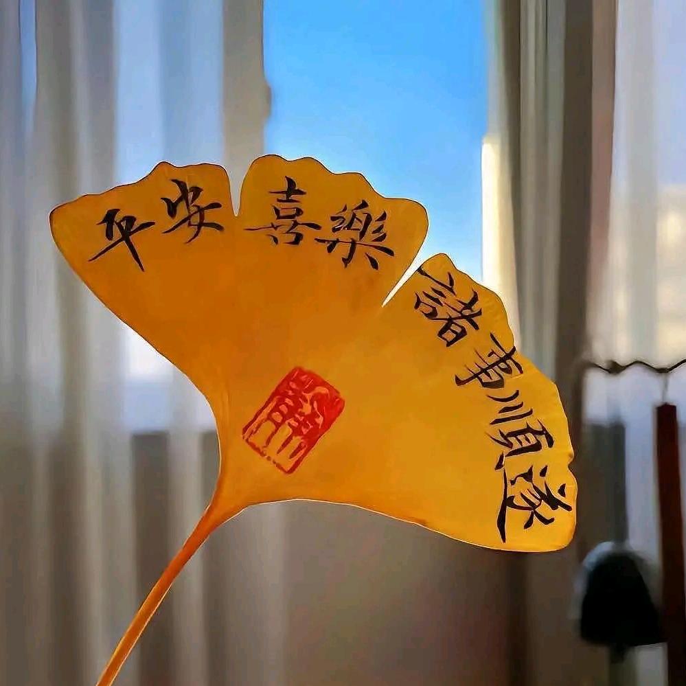 爱学习的一颗鑫