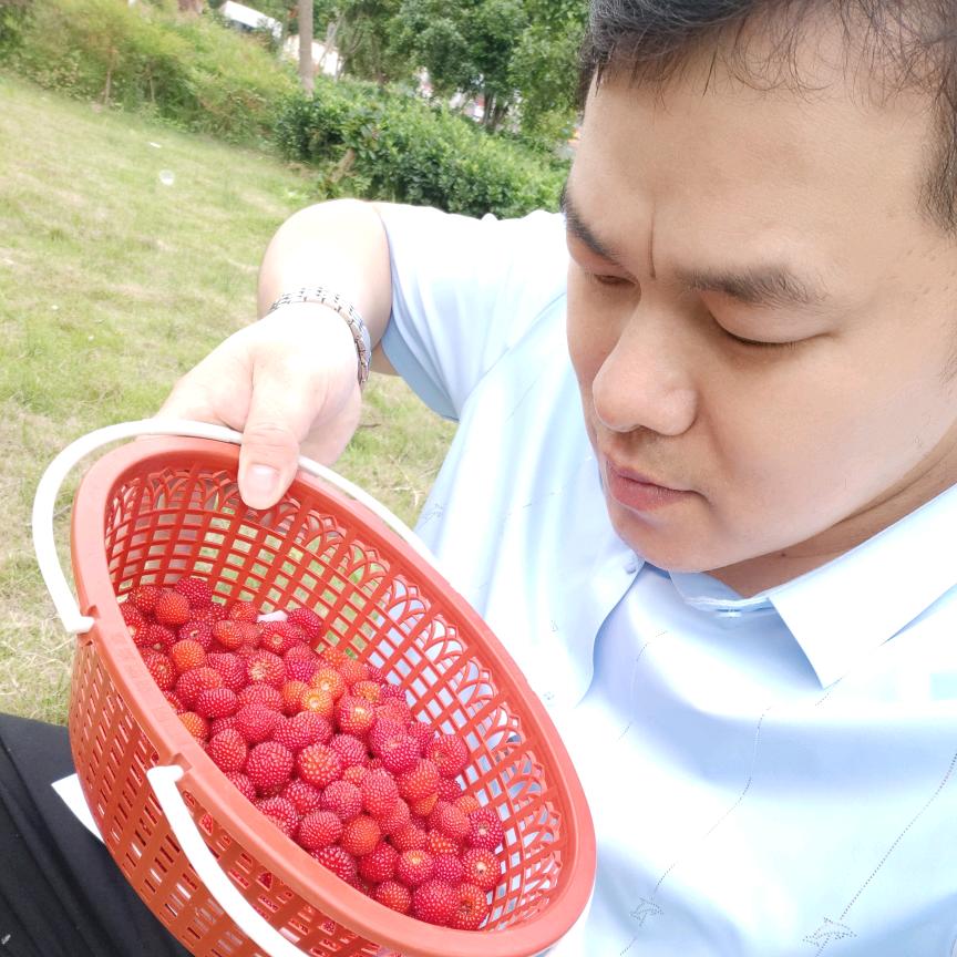 段华