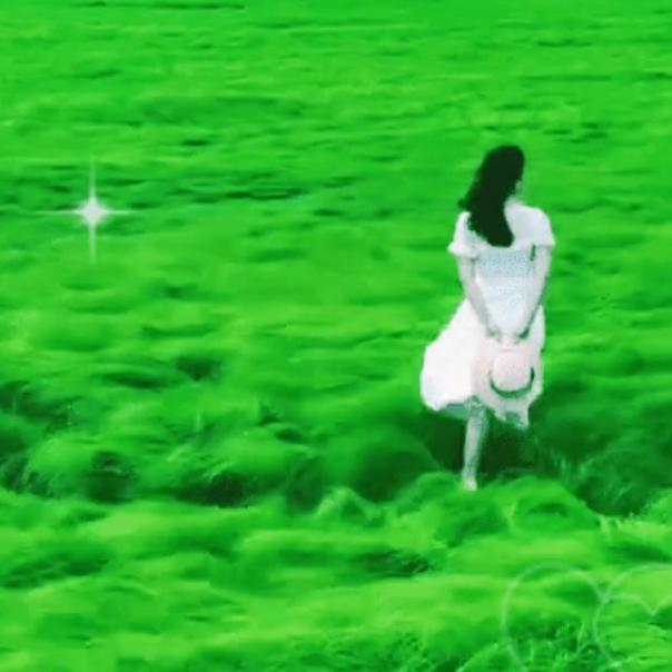 song.shaojie