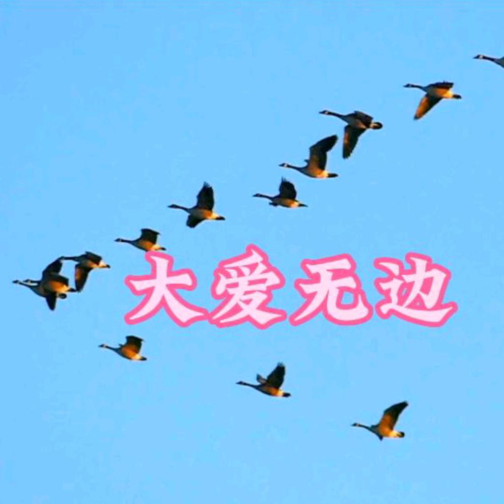 大爱无边