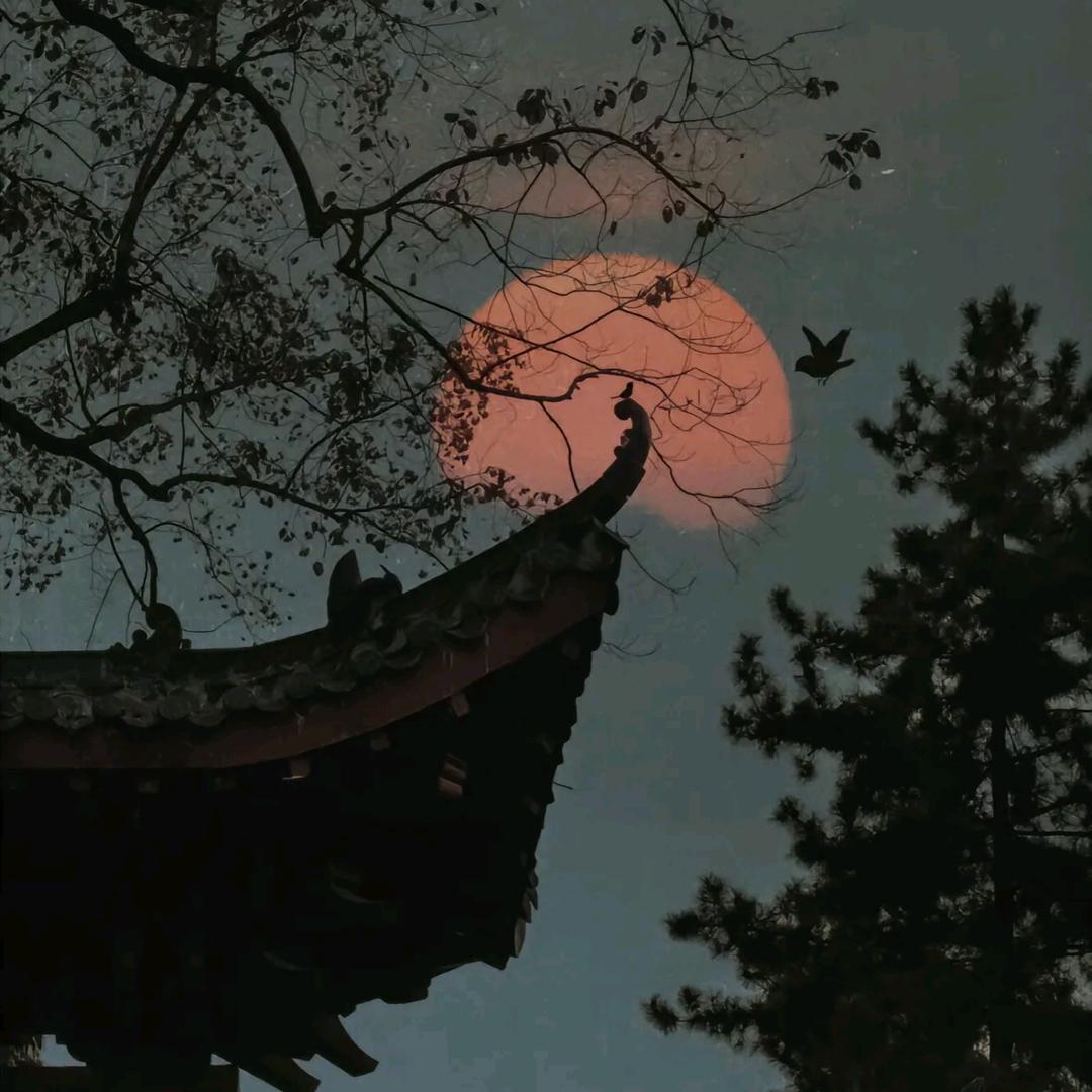 霞姐，每晚8.40开播